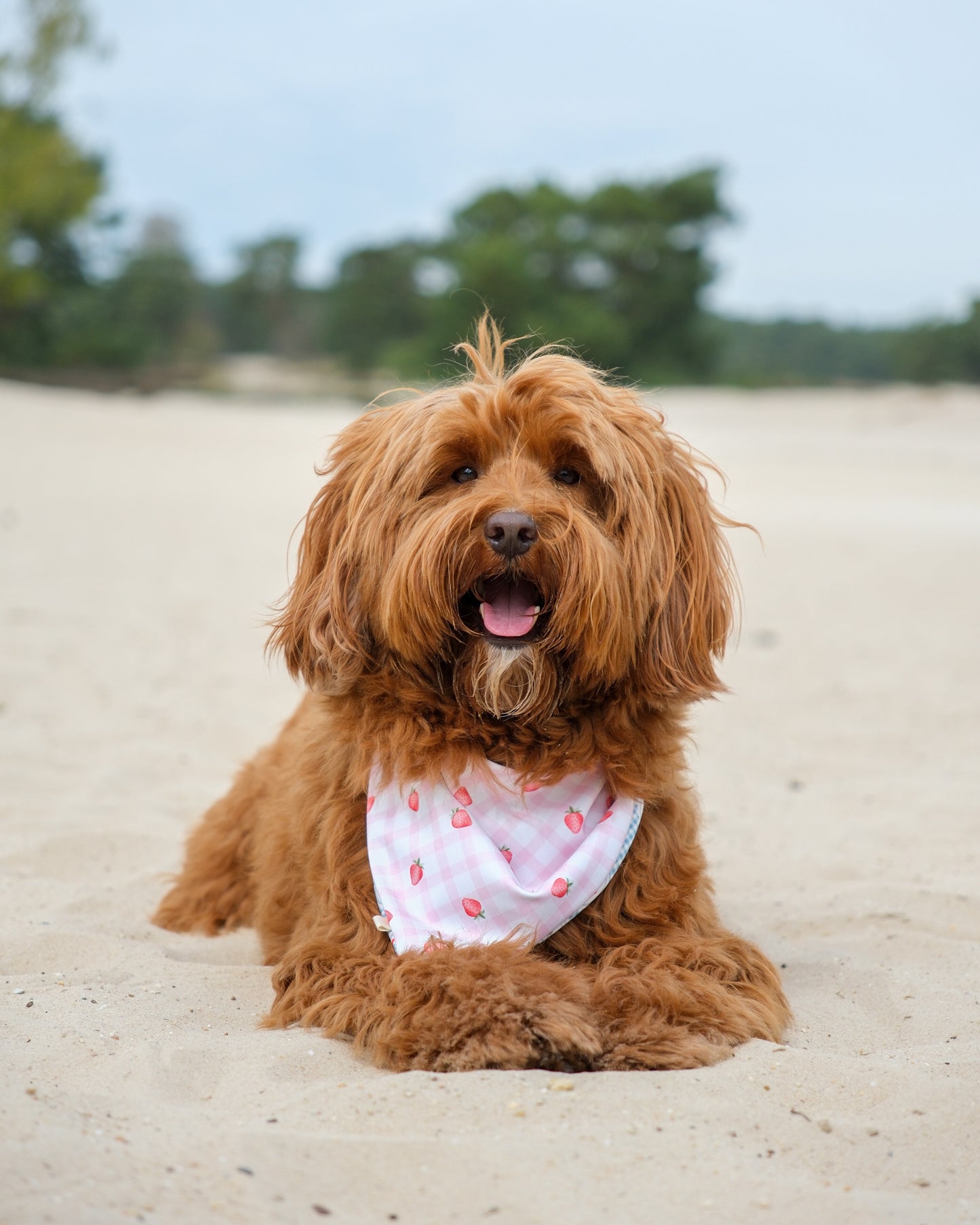 2-in-1 Bandana - Strawberry