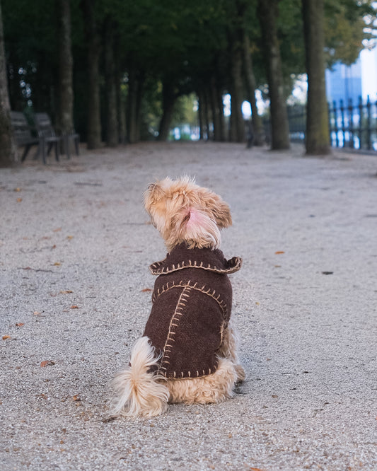 Wool Sweater - Cocoa