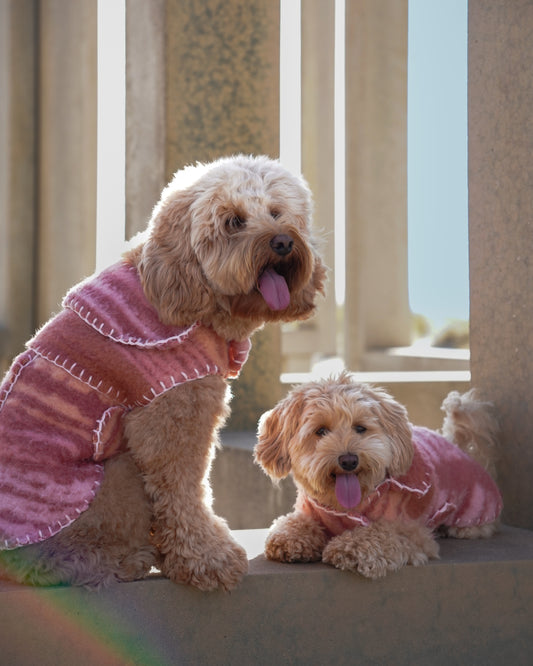 Wool Sweater - Blush