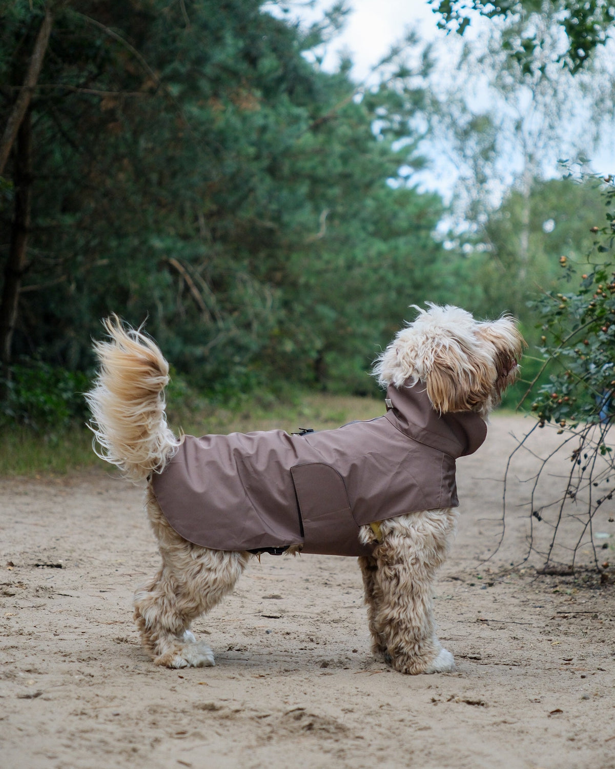 Rain Jackets