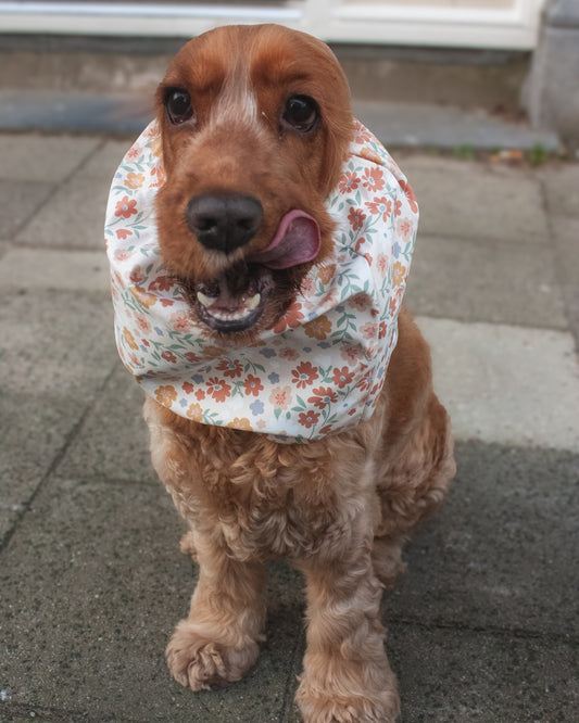 Waterproof Dog Snood - Flowers