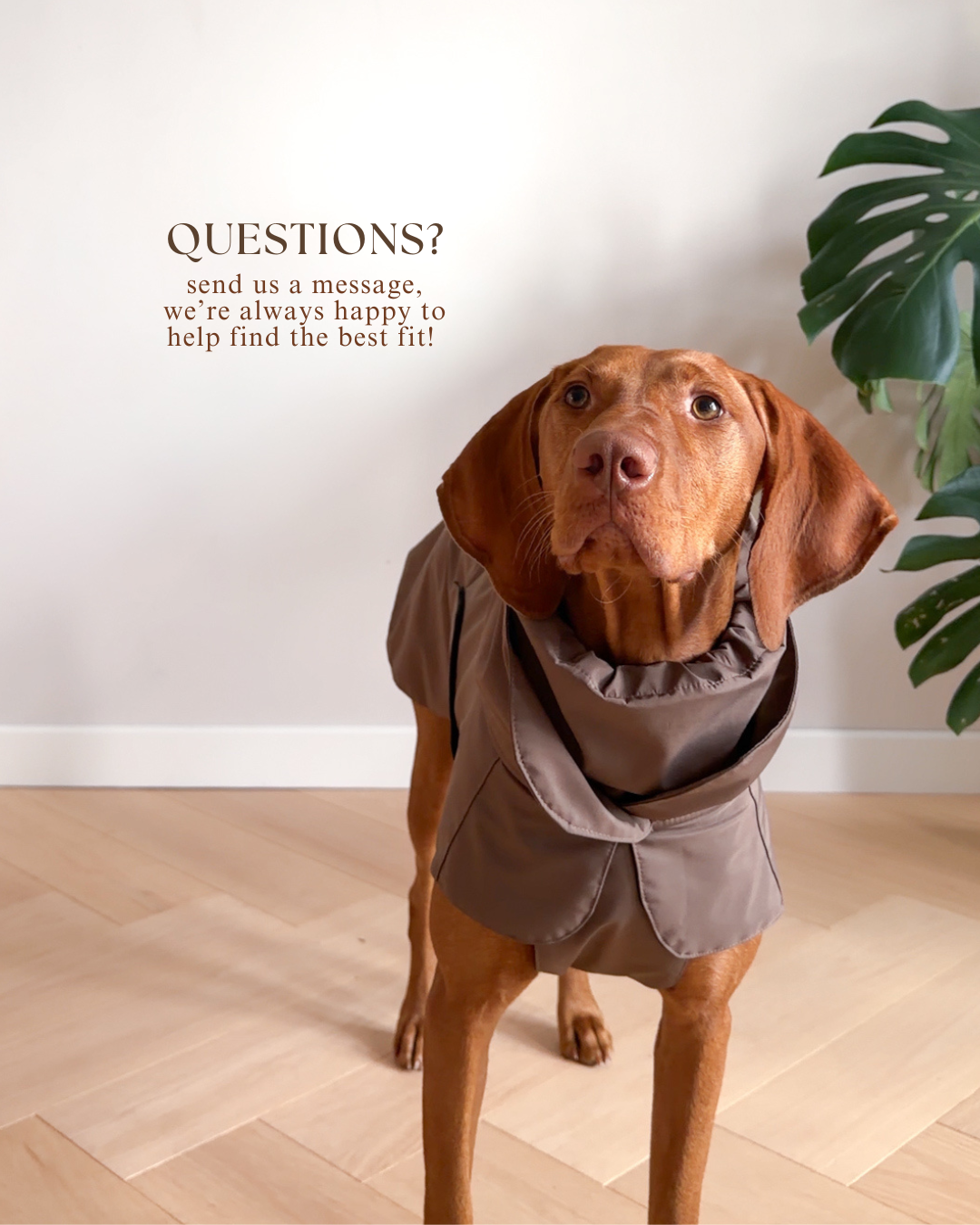 Dog Rain Jacket