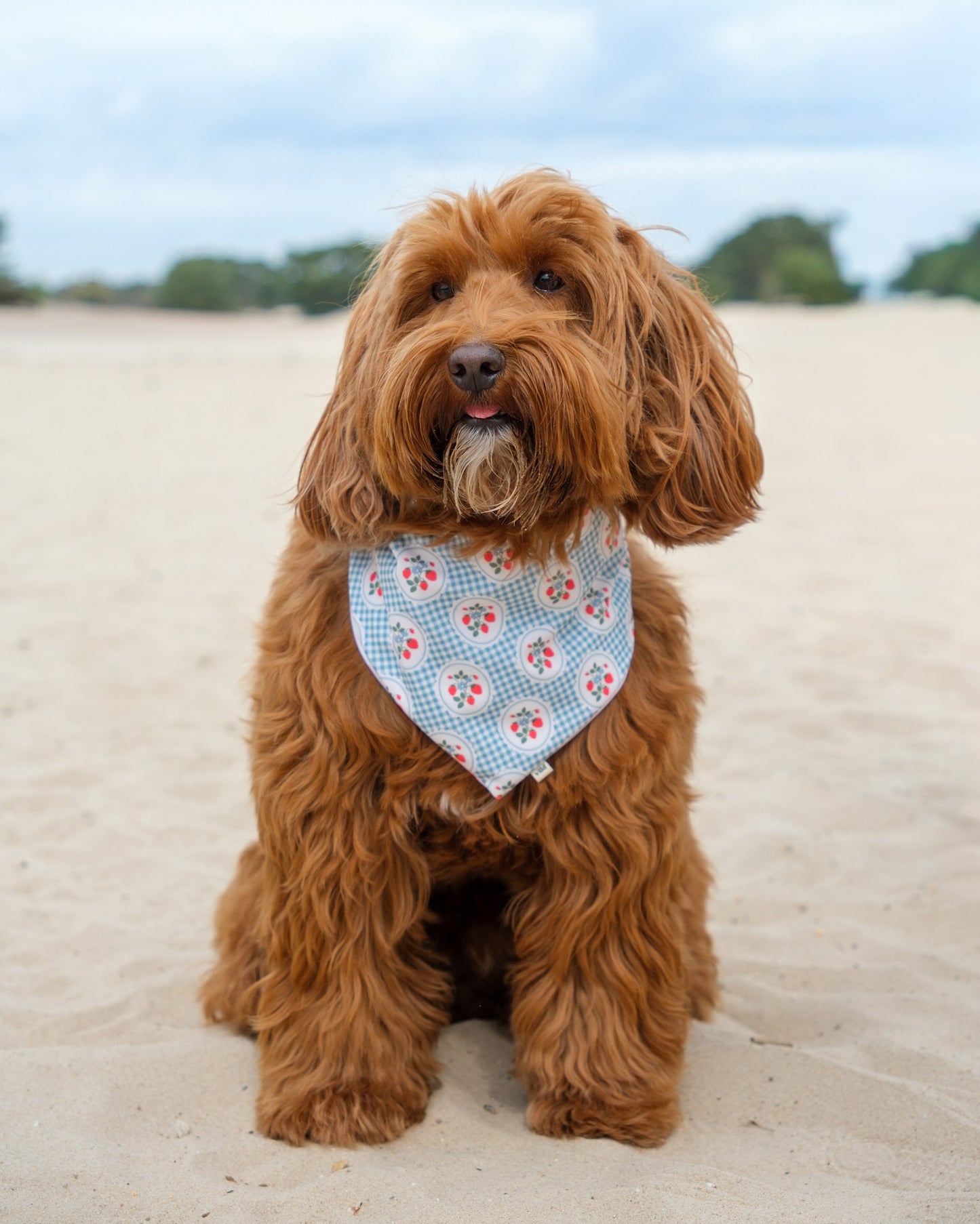2-in-1 Bandana - Strawberry