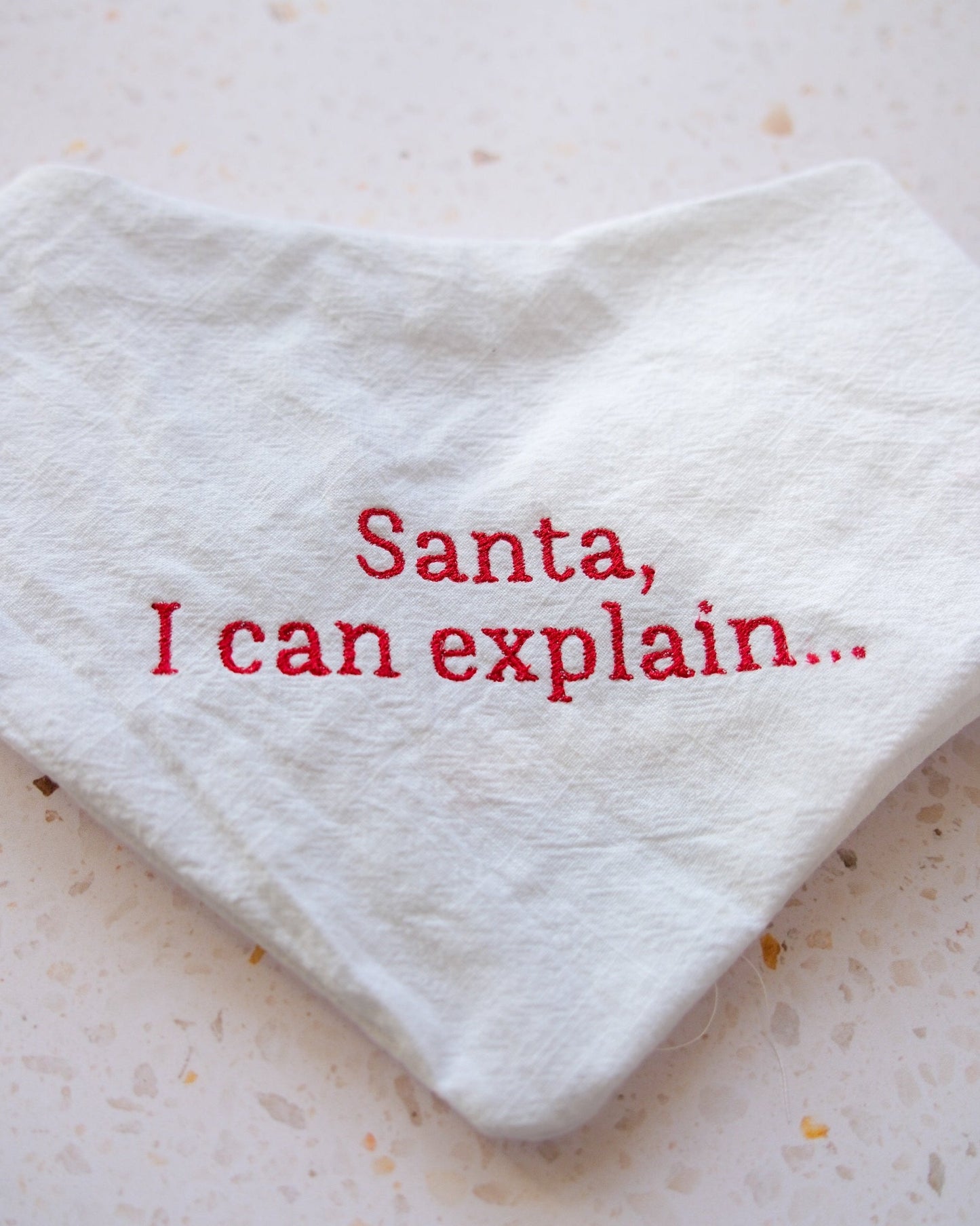 Bandana - Santa, I can explain ...