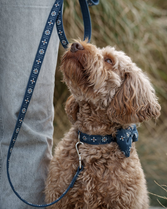 Leash - Daisy Dark Blue