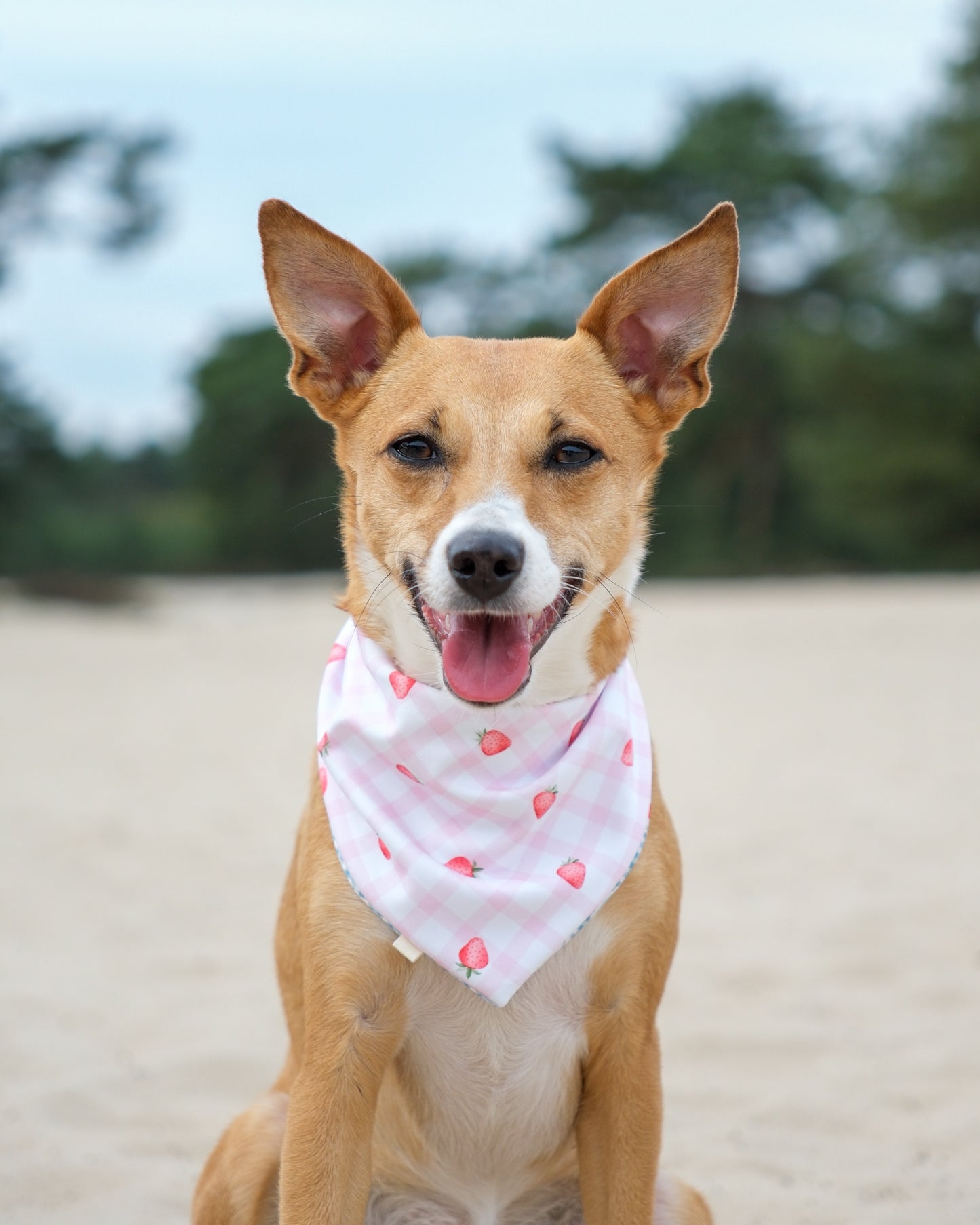 2-in-1 Bandana - Strawberry