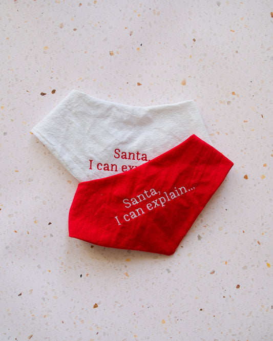 Bandana - Santa, I can explain ...