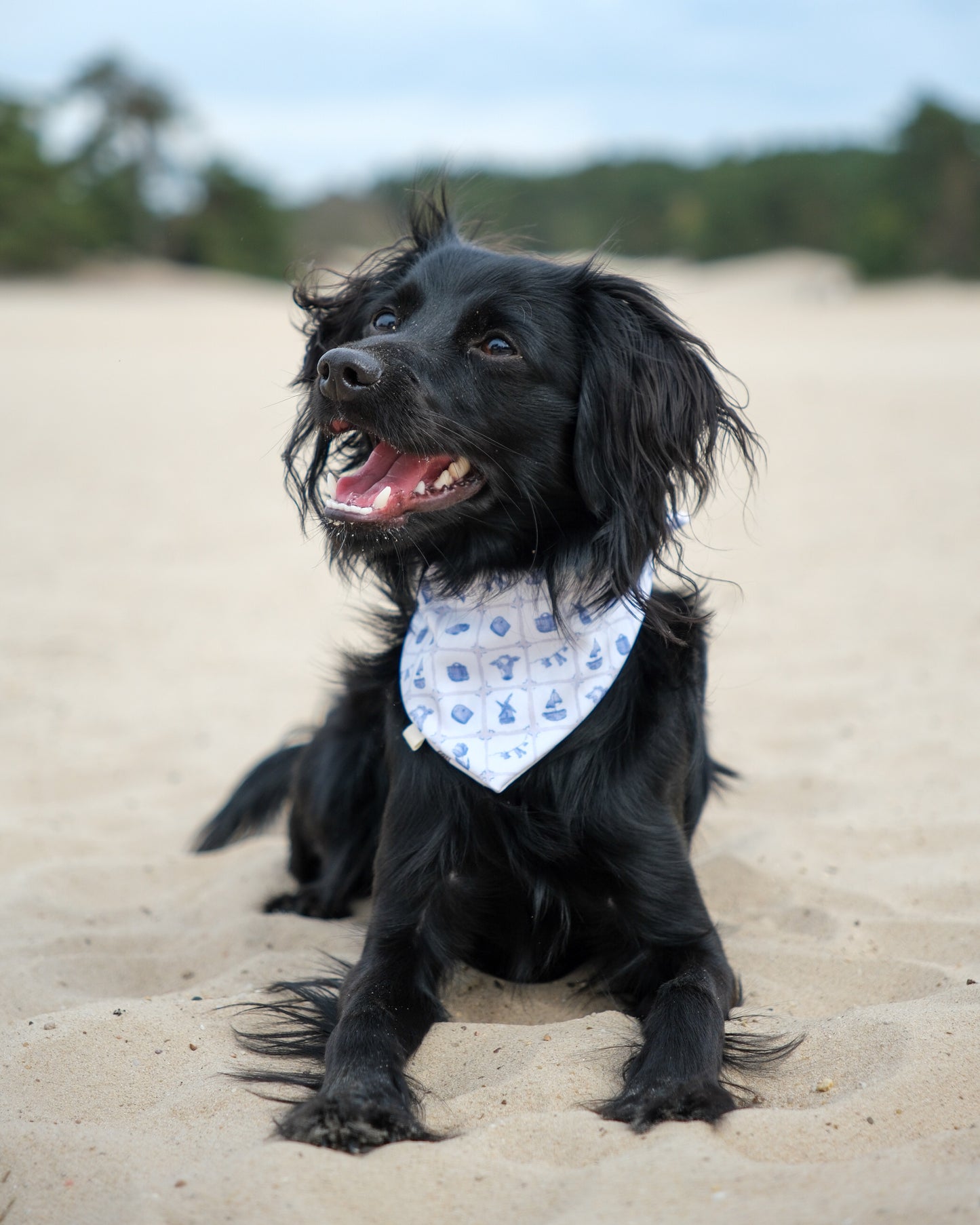 2-in-1 Bandana - Dutch
