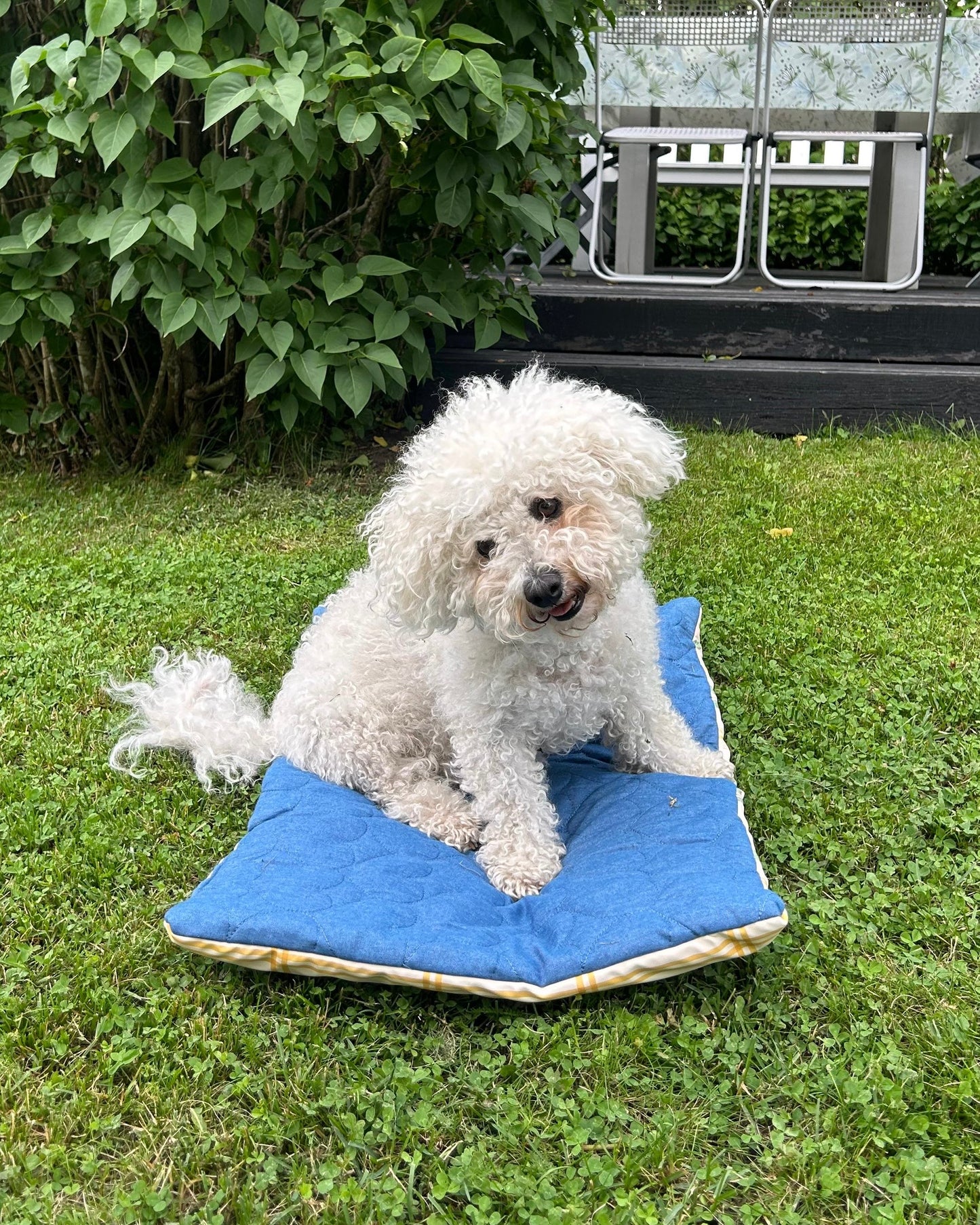 Travel Dog Mat - Indigo