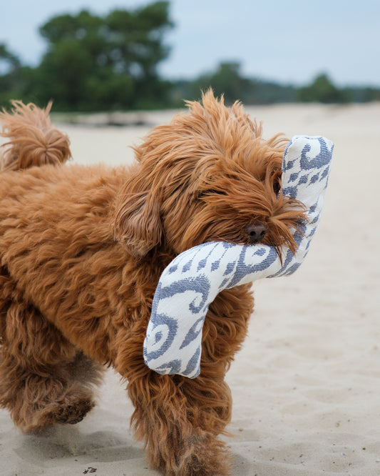 Toy - Squiggly