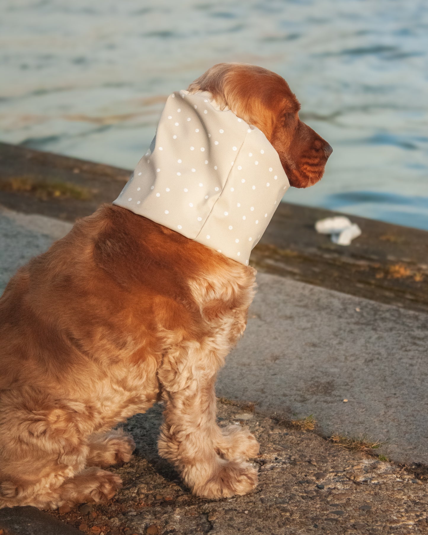 Waterproof Dog Snood - Beige with dots