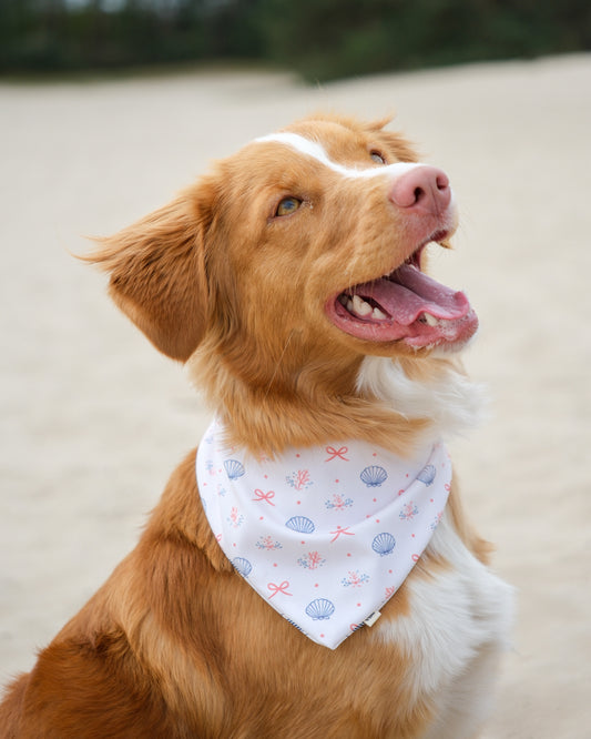 2-in-1 Bandana - Under the Sea