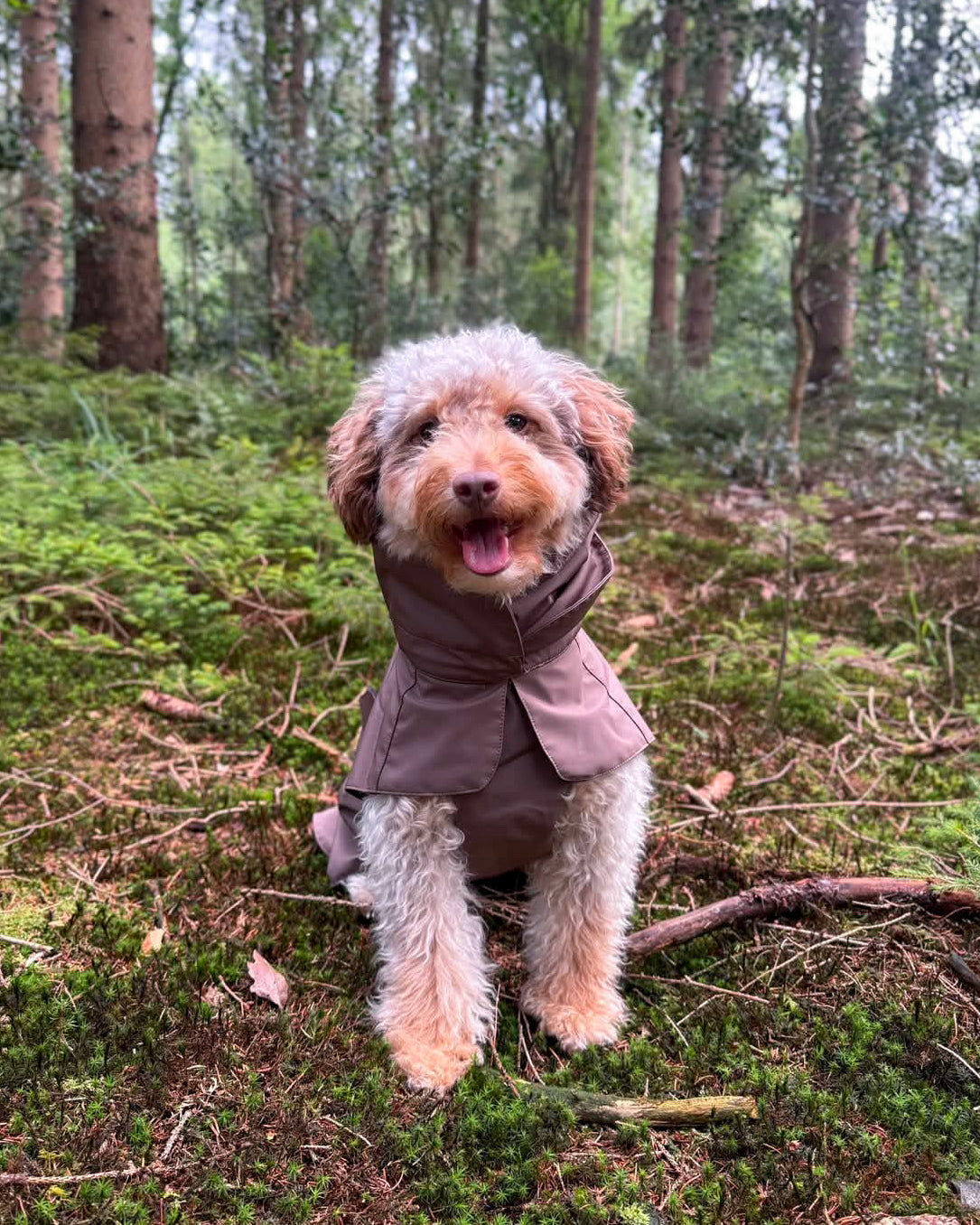 Dog Rain Jacket