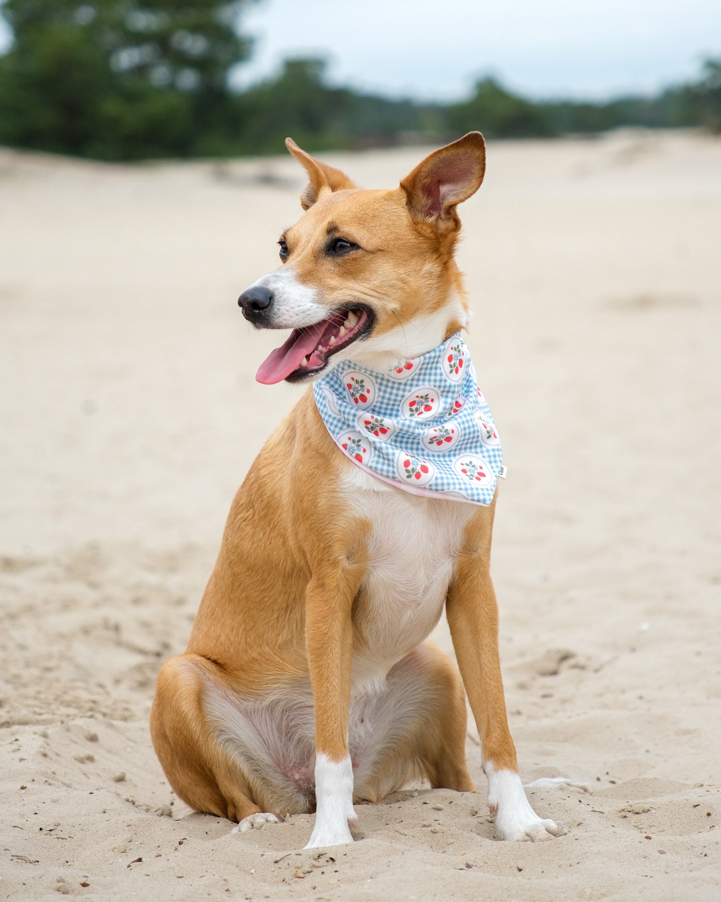 2-in-1 Bandana - Strawberry