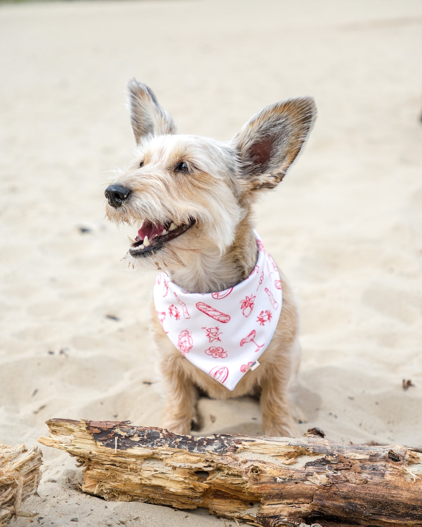 2-in-1 Bandana - Italian Summer