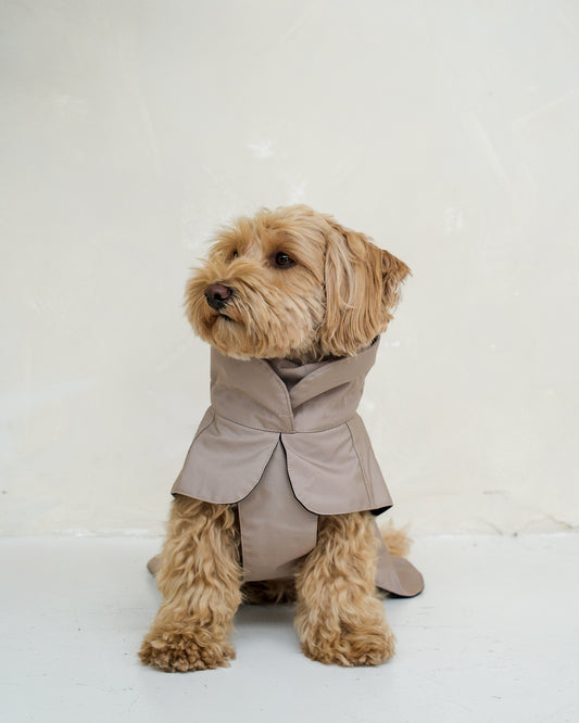 Dog Rain Jacket