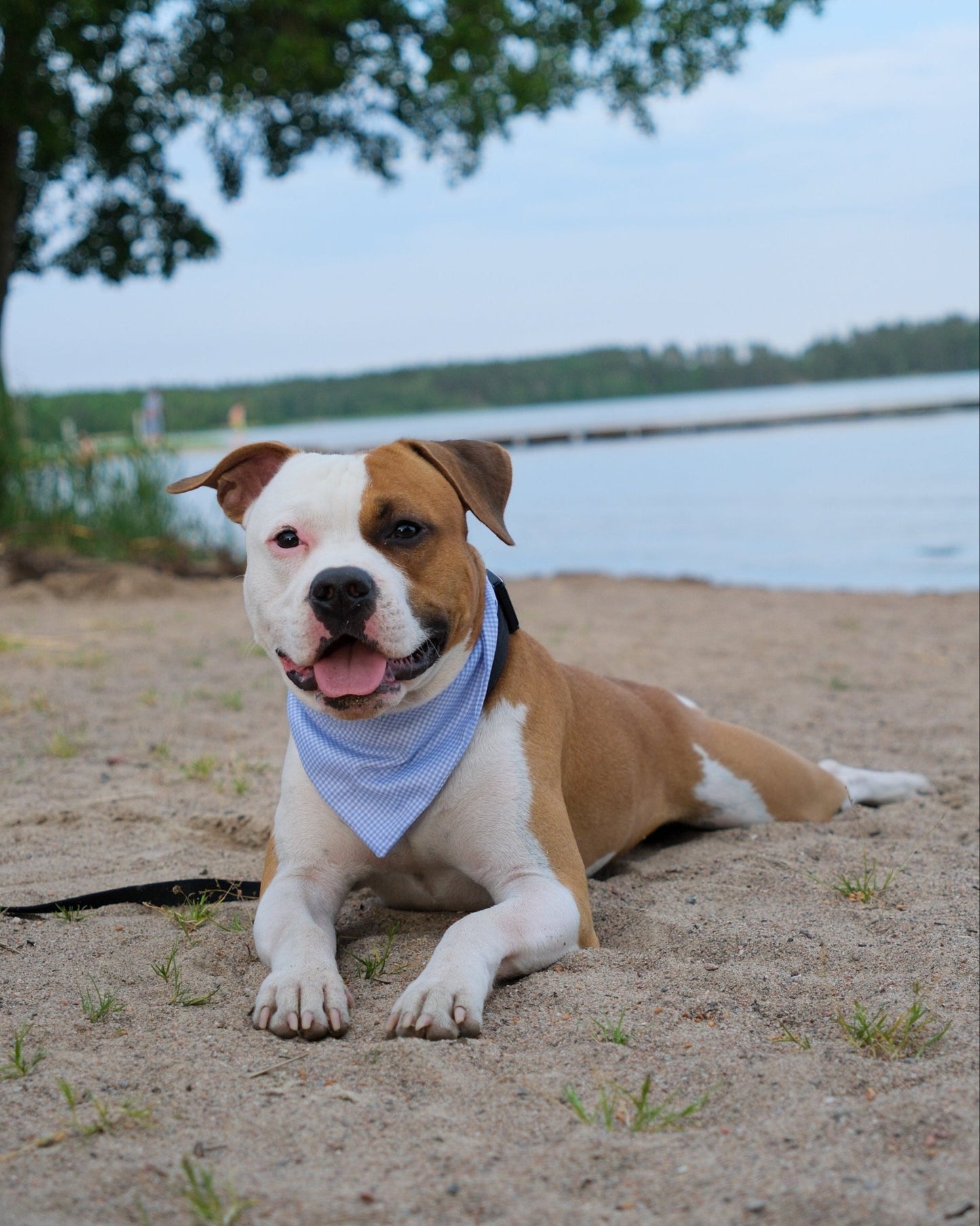 Bandana - Nord