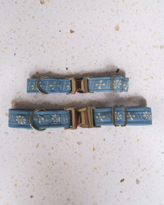 Two blue dog collars with metal hardware on a textured white surface