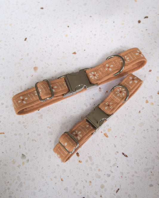 Two peach dog collars with metal buckles on a textured light gray surface.