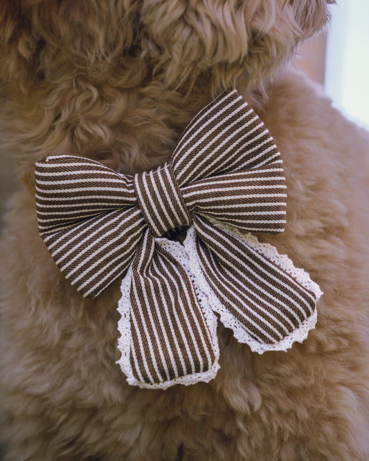 A close-up of a fluffy tan dog wearing a brown and white striped fabric bow with white lace trim.