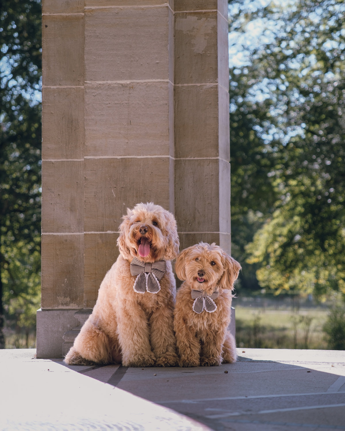 Two small fluffy golden dogs sitting side by side on a stone ledge outdoors, each wearing a gray bow tie, with a large stone column behind them and green trees in the background.