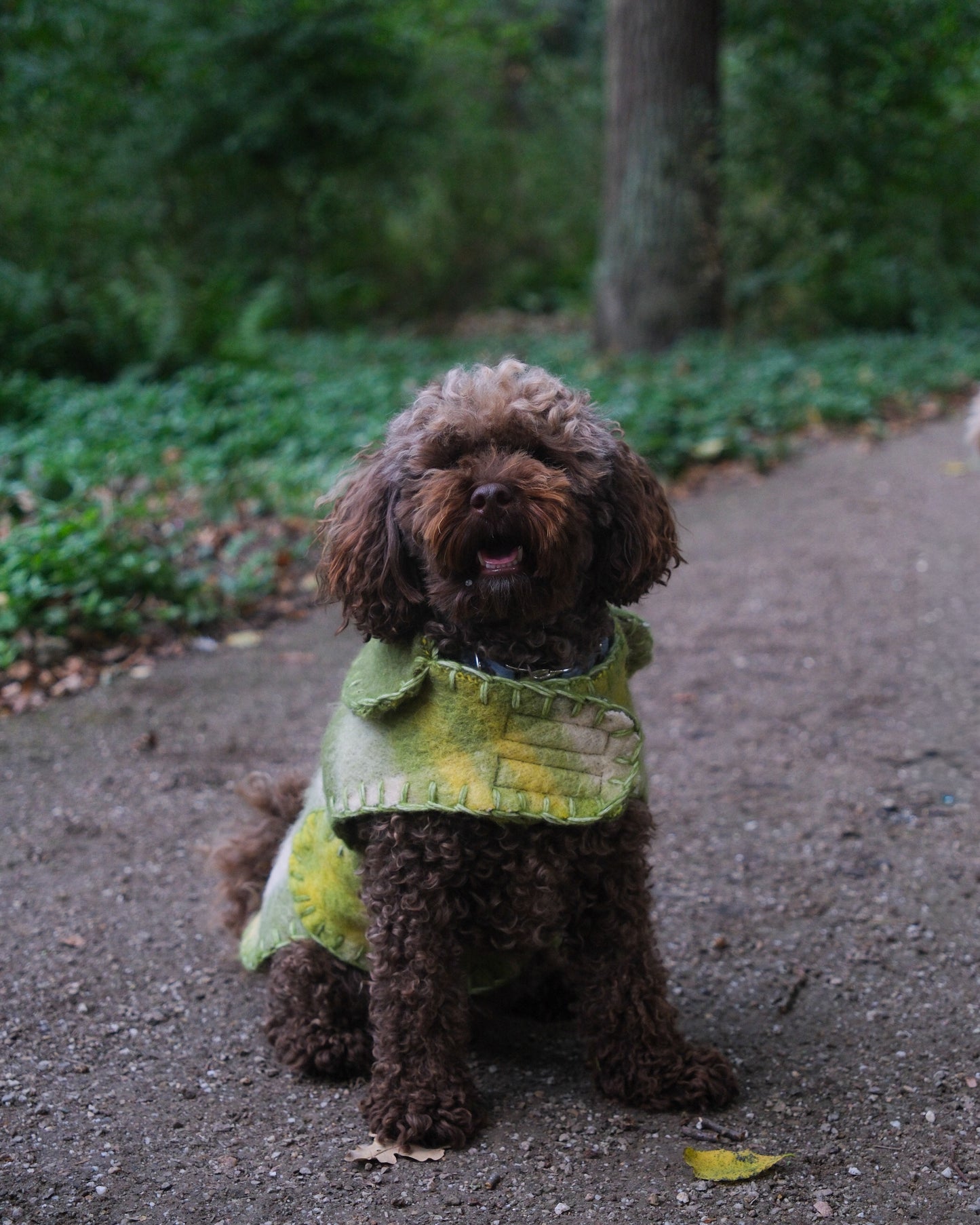 Wool Sweater - Matcha