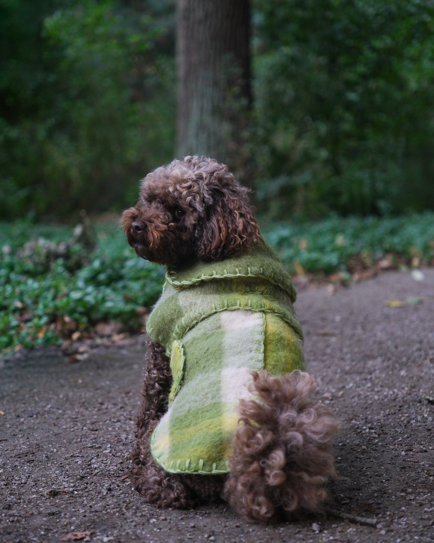 Wool Sweater - Matcha