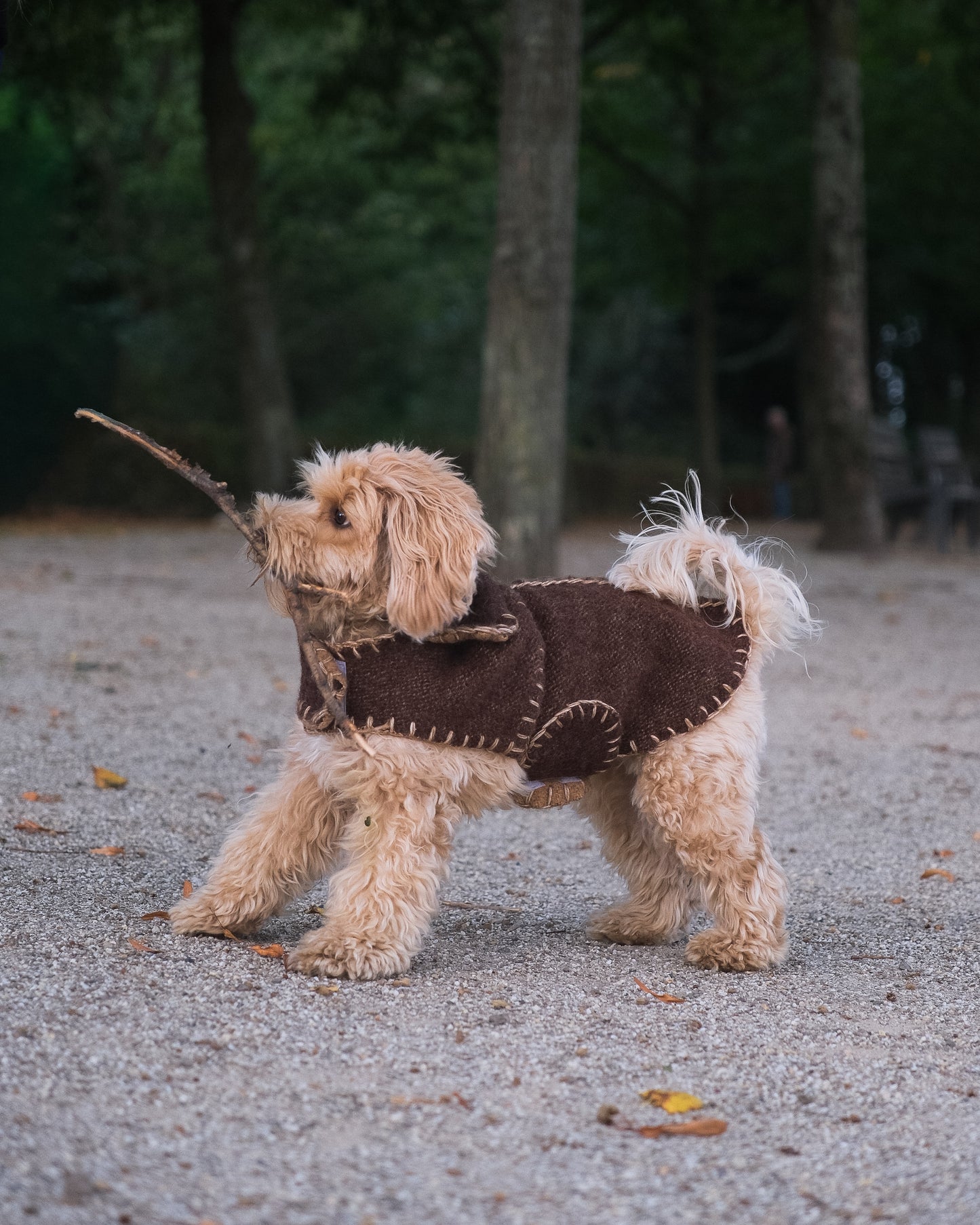 Wool Sweater - Cocoa
