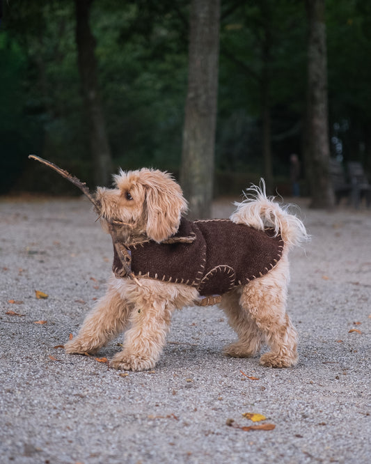 Wool Sweater - Cocoa