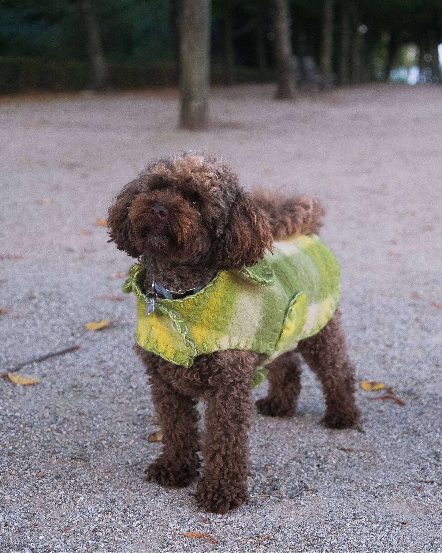 Wool Sweater - Matcha