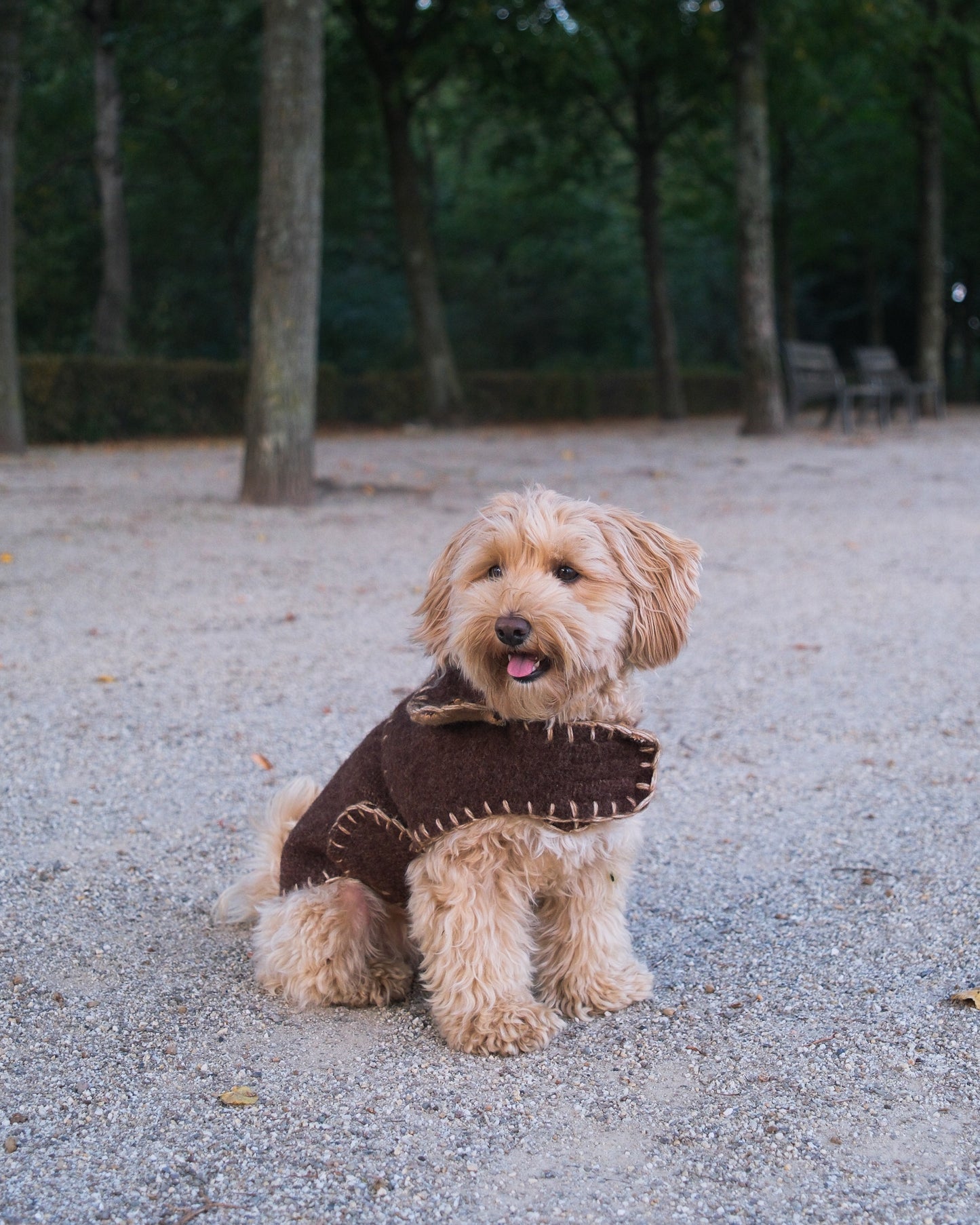 Wool Sweater - Cocoa