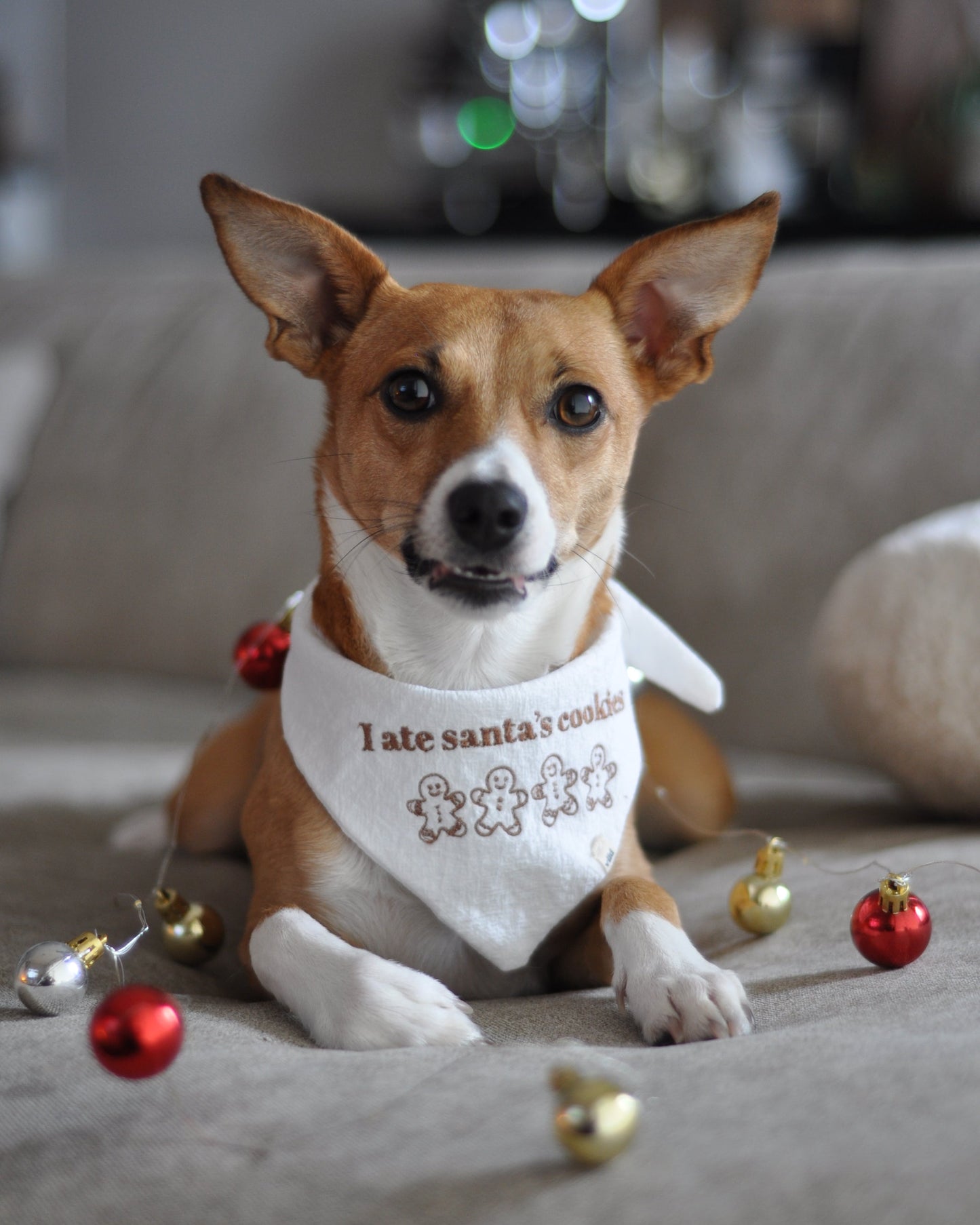 Bandana - I ate santa's cookies