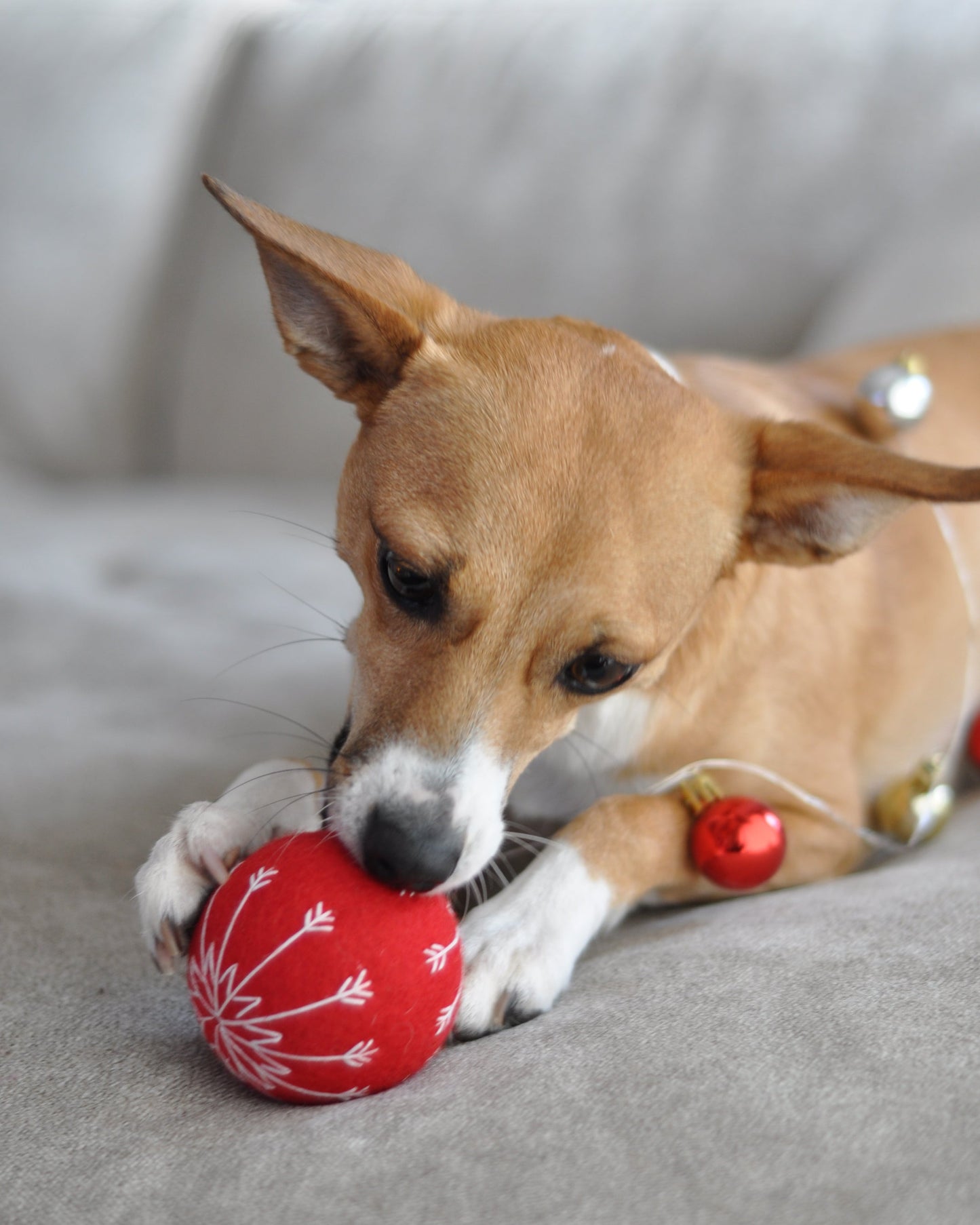 Toy - Christmas Ball