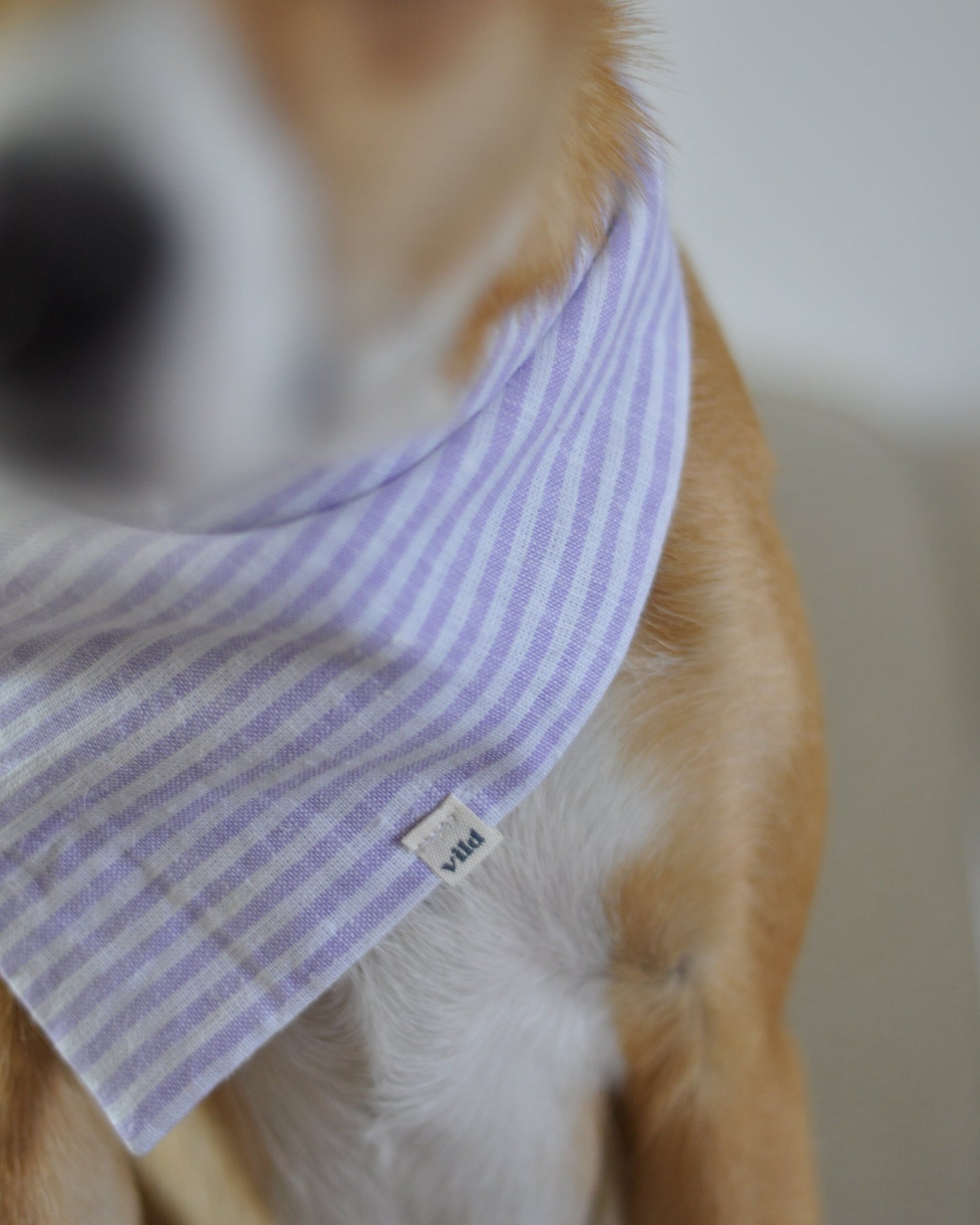 Bandana - Viola