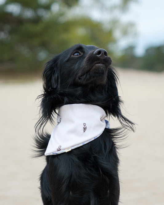 2-in-1 Bandana - Dutch