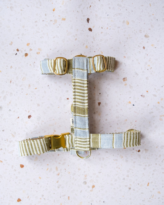 Harness - Garden