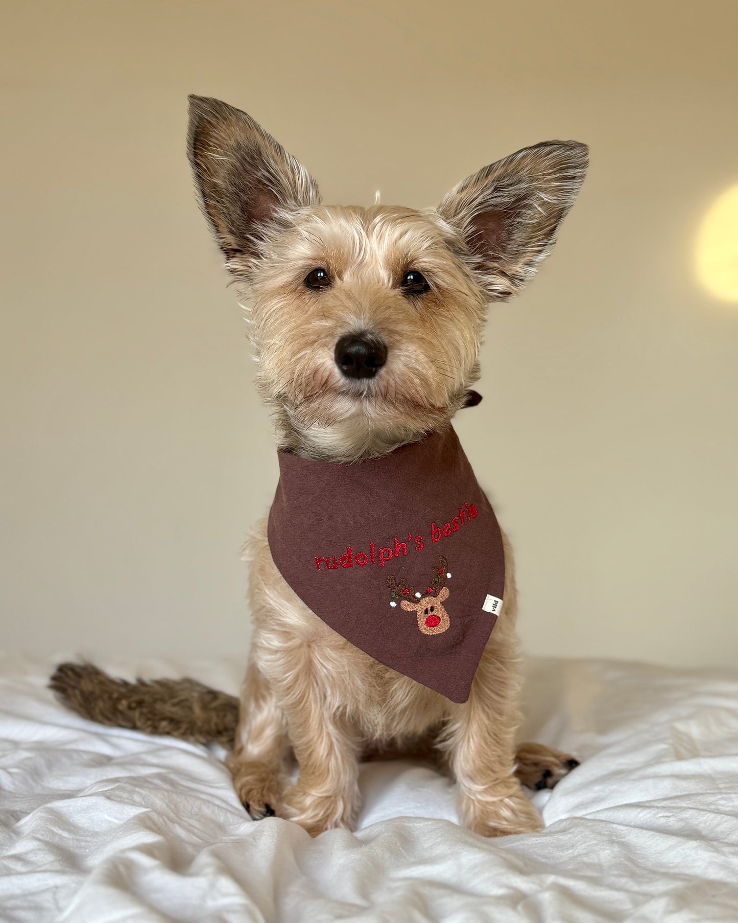 Bandana - Rudolph’s Bestie