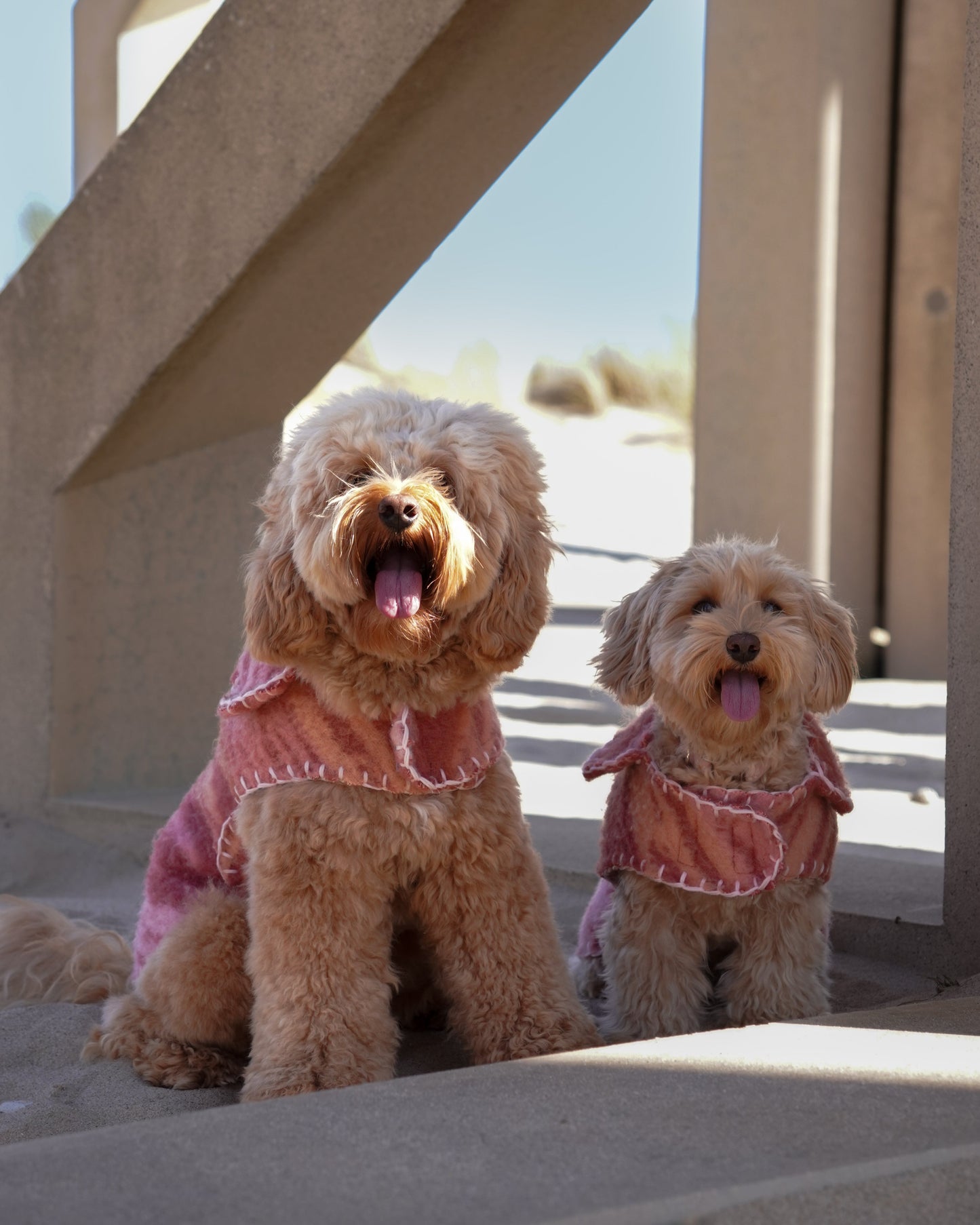 Wool Sweater - Blush