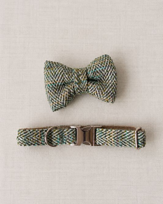 Collar - Windsor