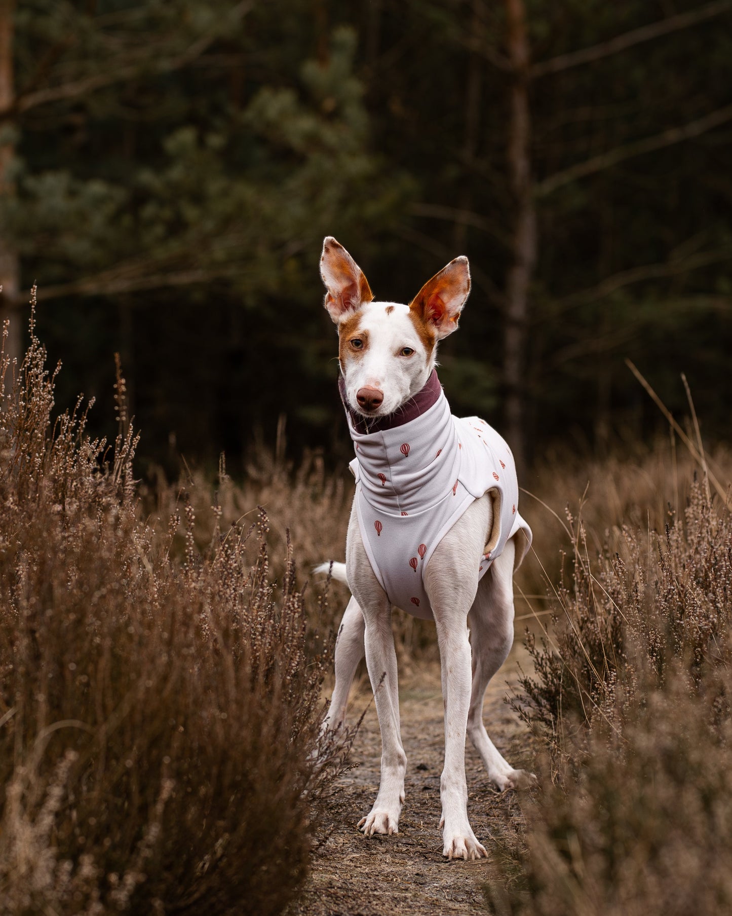 Sweater - Luft