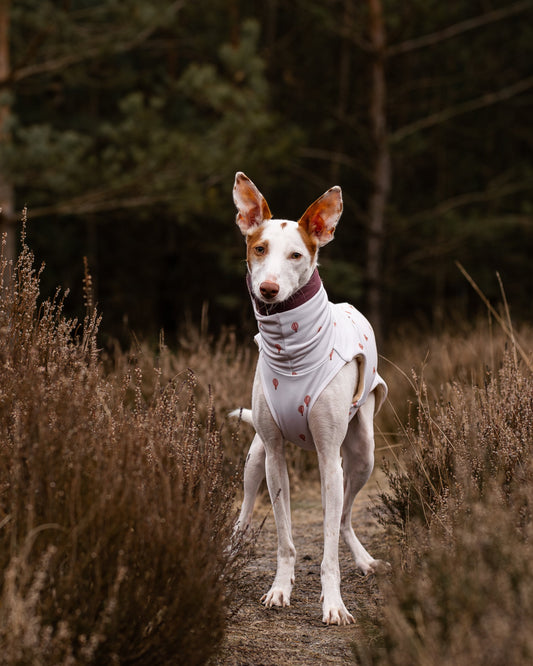 Sweater - Luft