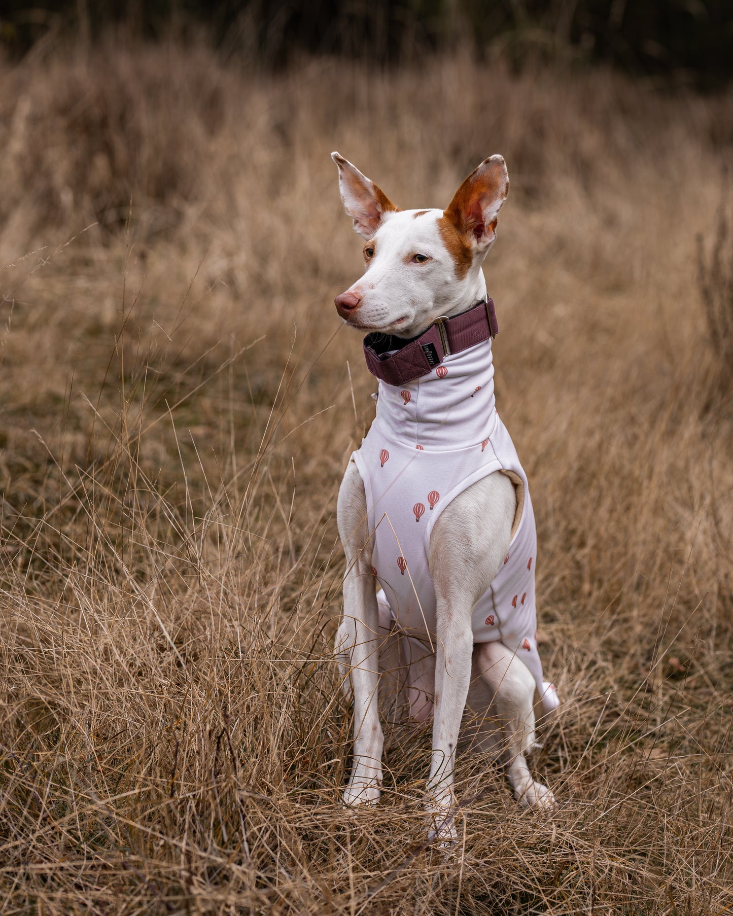 Sweater - Luft
