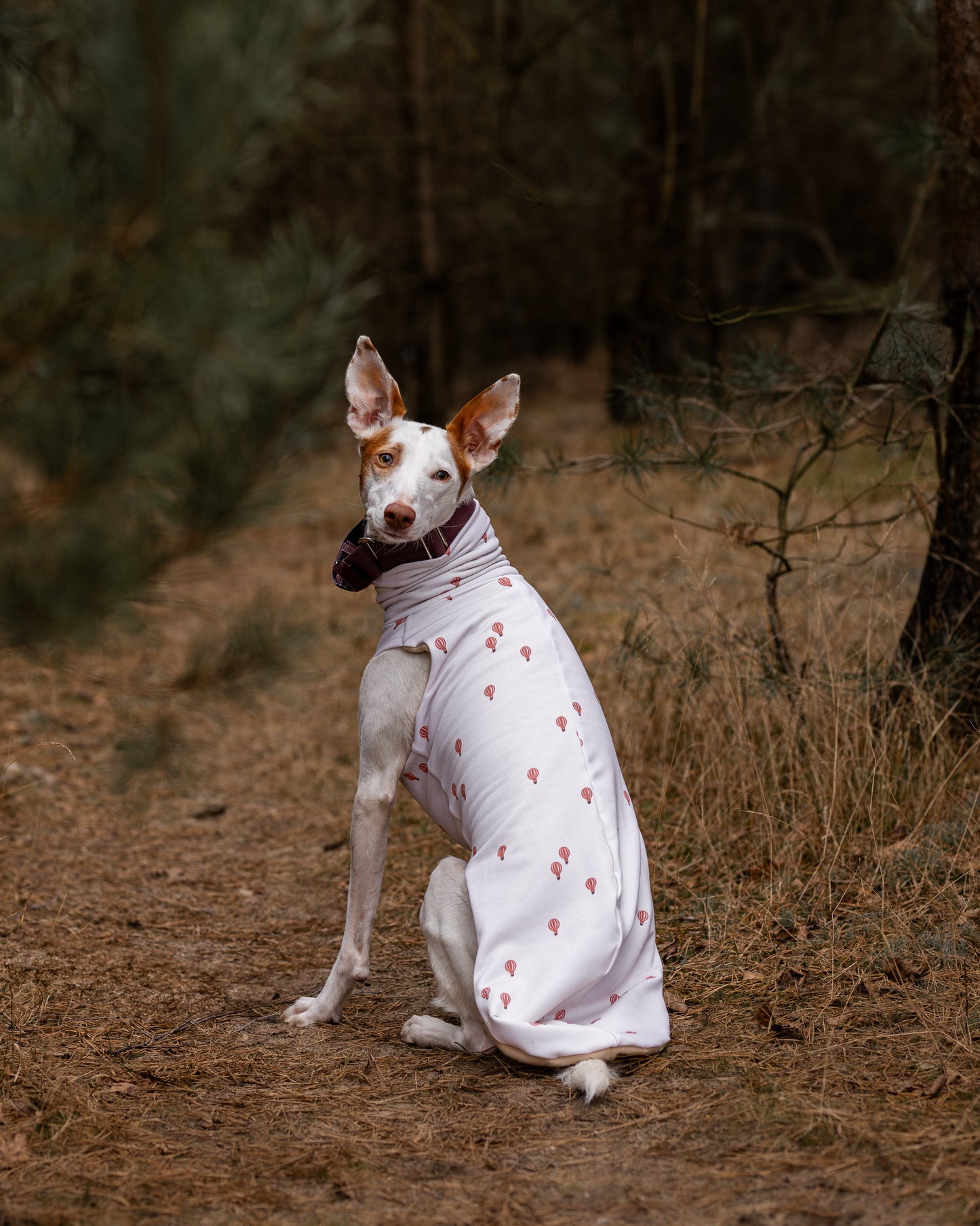 Sweater - Luft