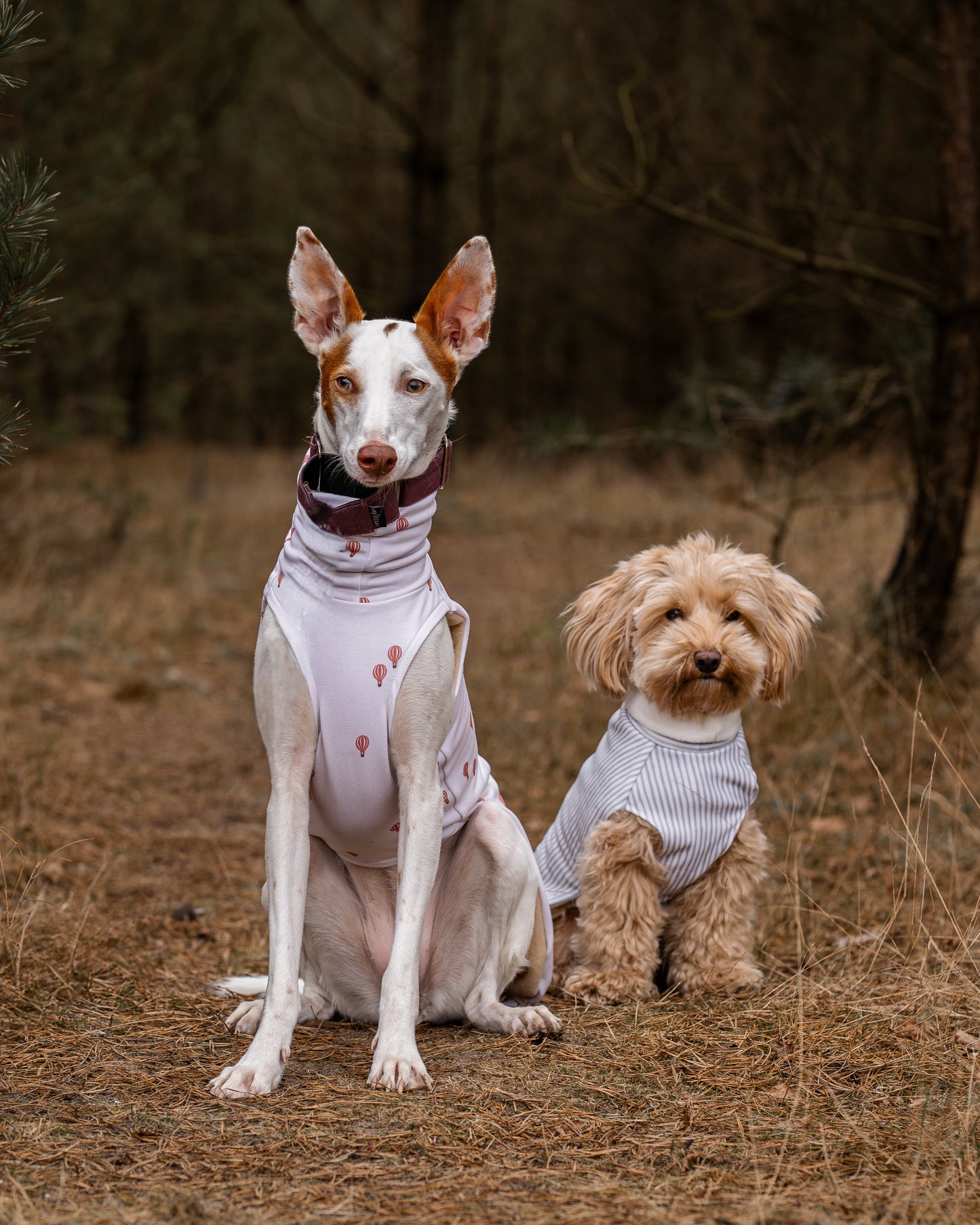 Sweater - Linje