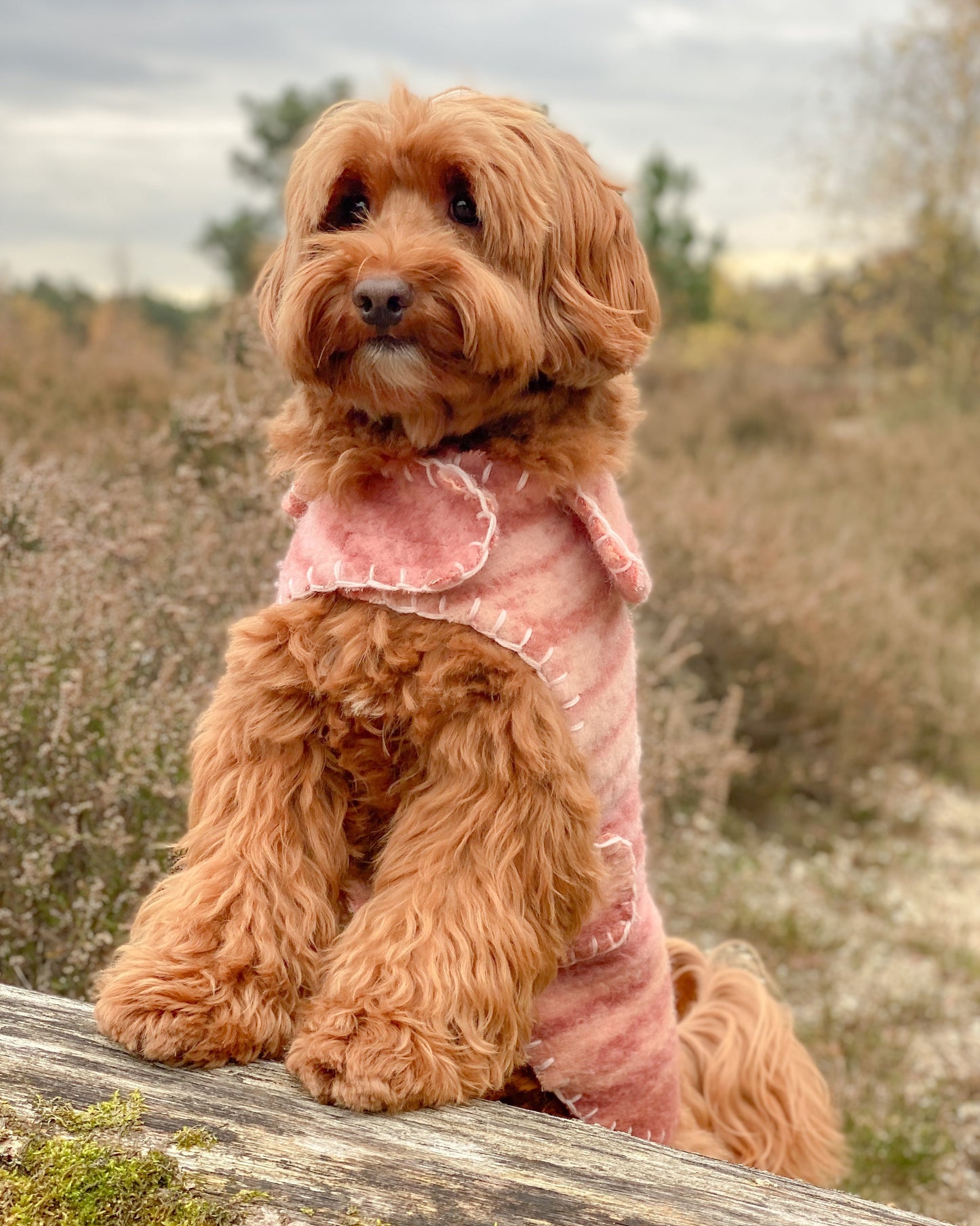 Wool Sweater - Blush